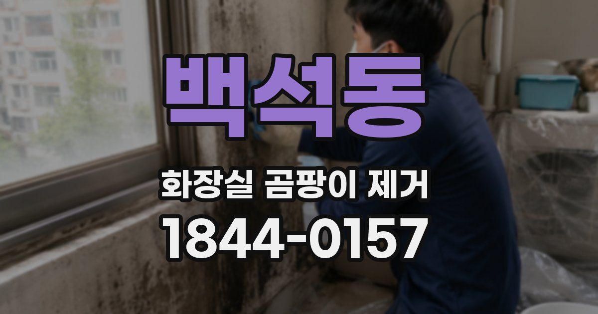 백석동 화장실 곰팡이 제거