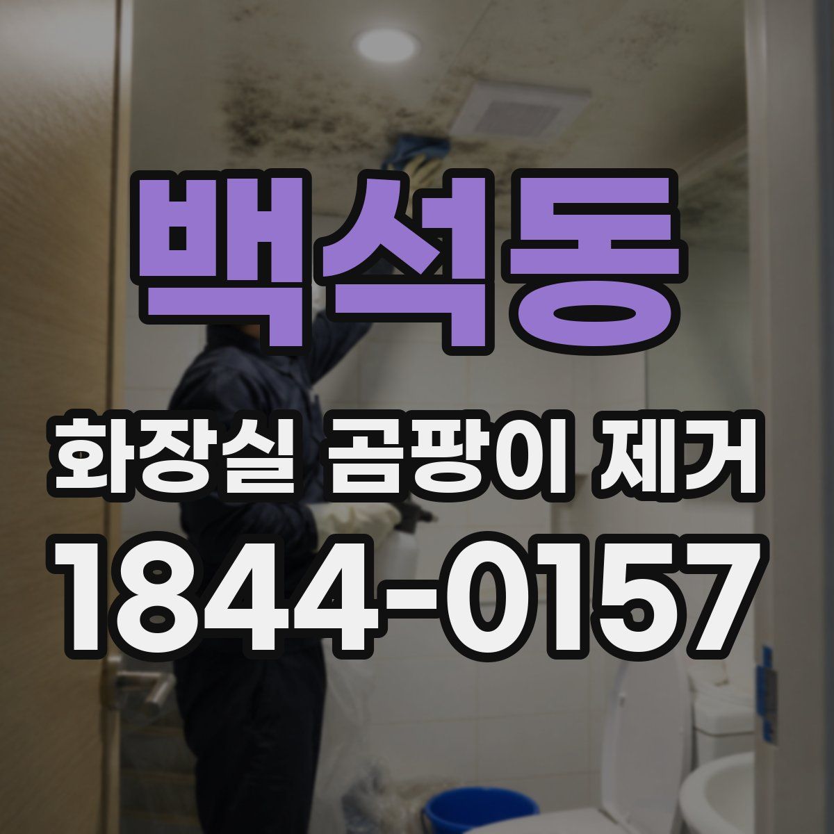 백석동 화장실 곰팡이 제거
