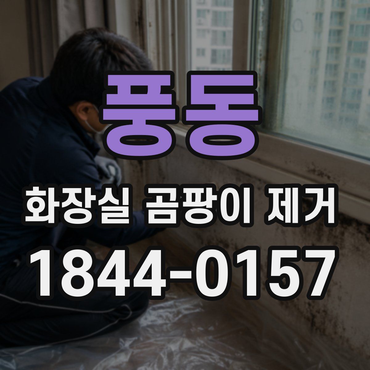 풍동 화장실 곰팡이 제거