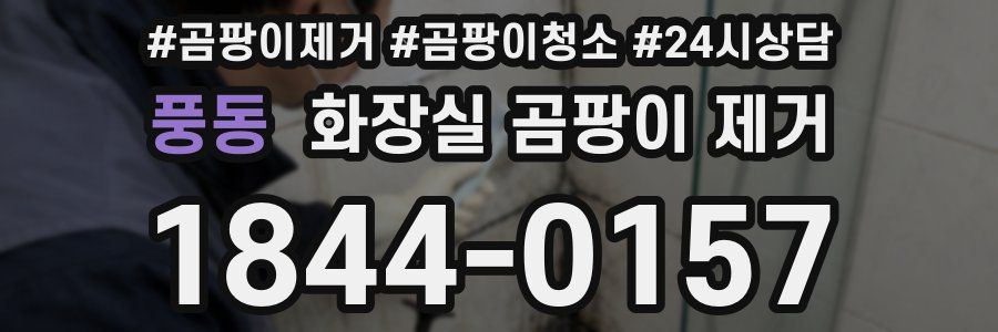 풍동 화장실 곰팡이 제거