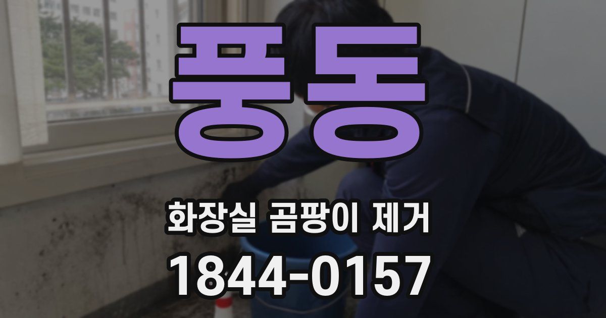 풍동 화장실 곰팡이 제거