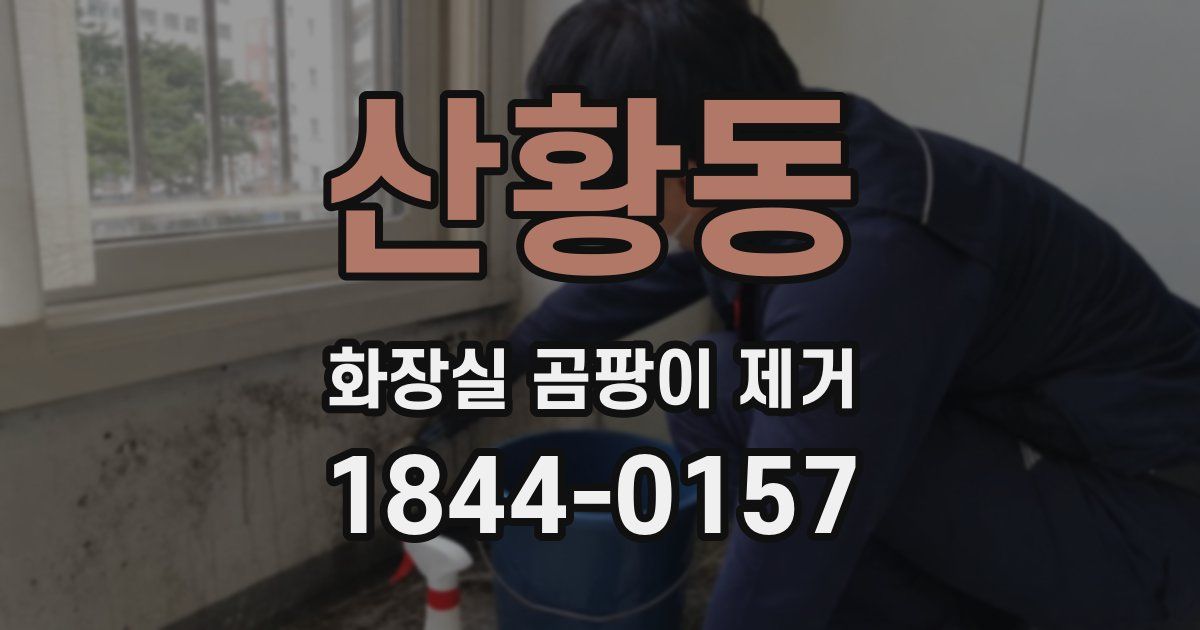 산황동 화장실 곰팡이 제거
