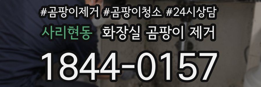 사리현동 화장실 곰팡이 제거