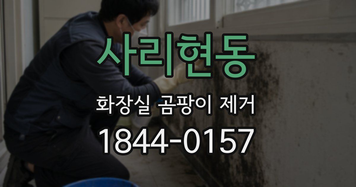사리현동 화장실 곰팡이 제거