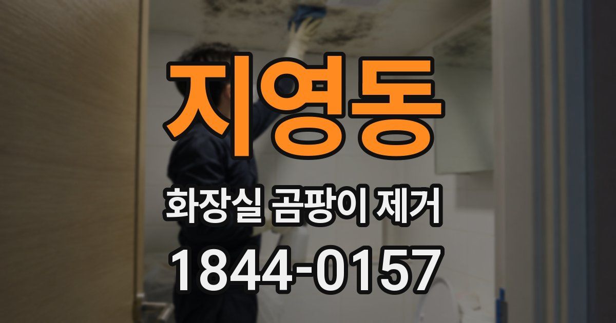 지영동 화장실 곰팡이 제거