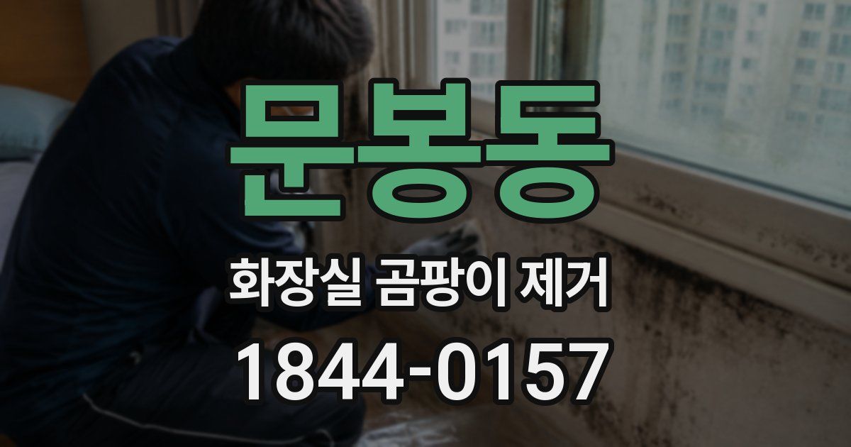 문봉동 화장실 곰팡이 제거