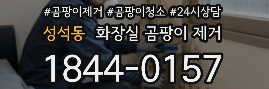 성석동 화장실 곰팡이 제거
