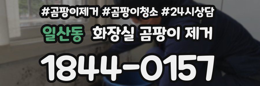 일산동 화장실 곰팡이 제거