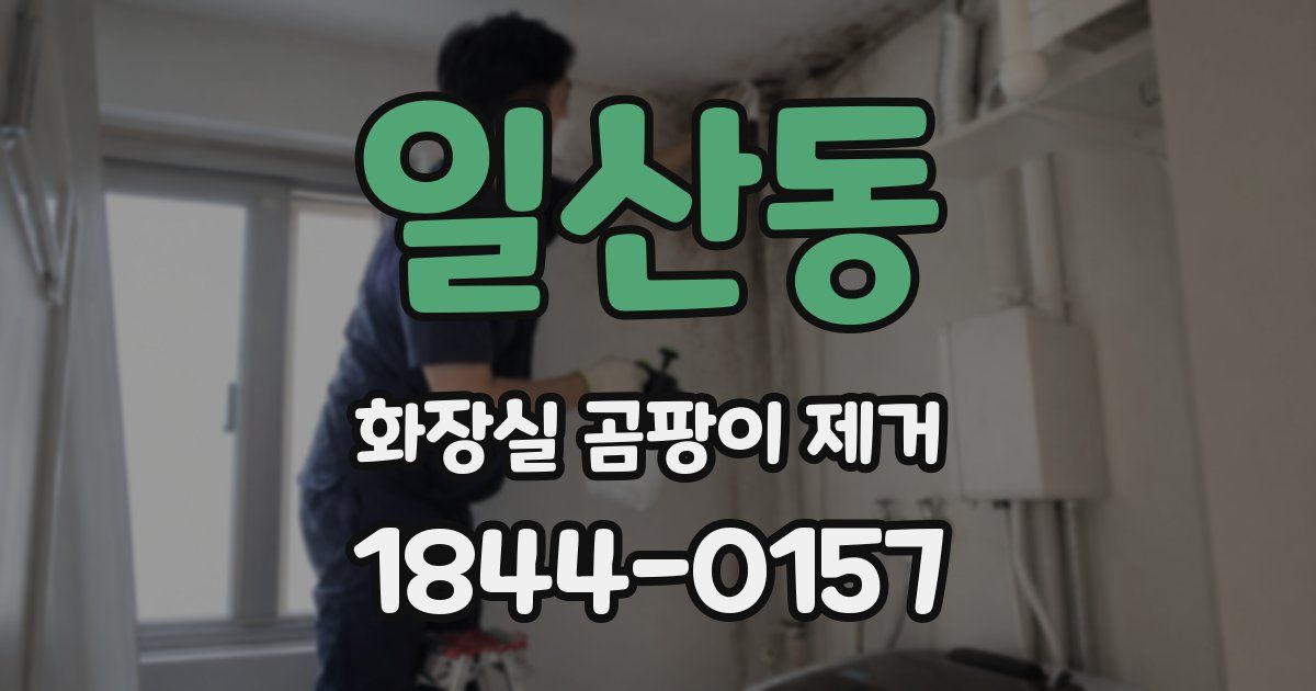 일산동 화장실 곰팡이 제거