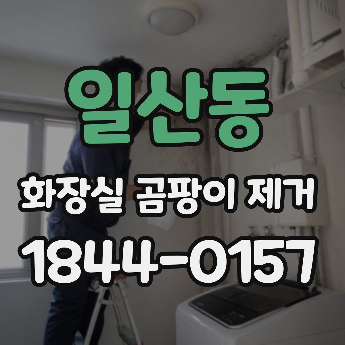 일산동 화장실 곰팡이 제거