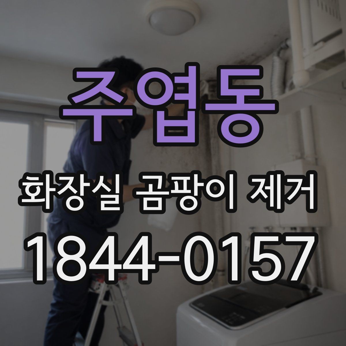 주엽동 화장실 곰팡이 제거 타일 표면과 틈새를 나눠 닦는 요령
