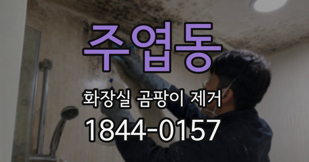 주엽동 화장실 곰팡이 제거