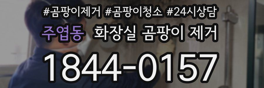 주엽동 화장실 곰팡이 제거