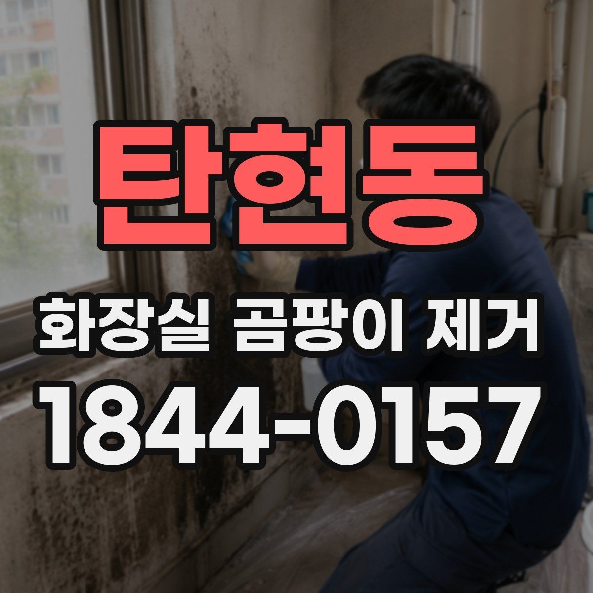 탄현동 화장실 곰팡이 제거 손상 없이 닦으려면 먼저 볼 마감재 상태