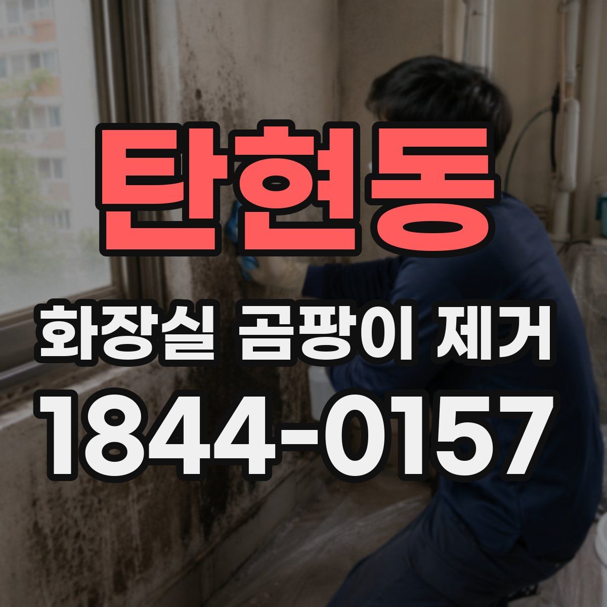 탄현동 화장실 곰팡이 제거