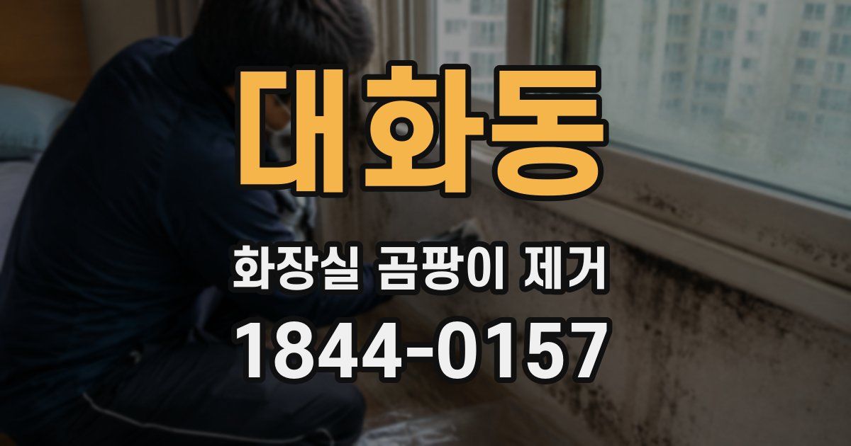 대화동 화장실 곰팡이 제거