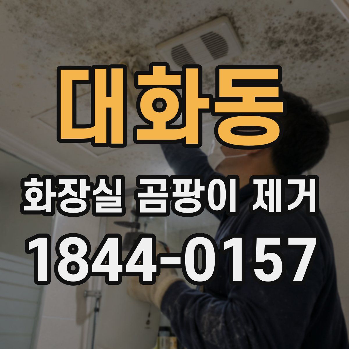 대화동 화장실 곰팡이 제거