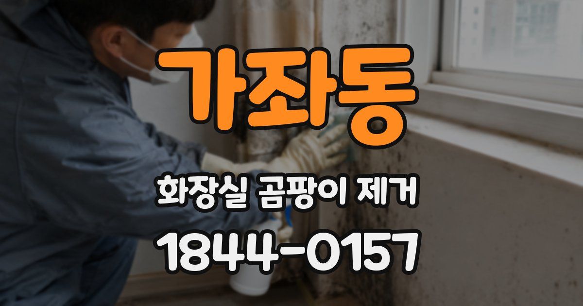 가좌동 화장실 곰팡이 제거