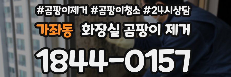 가좌동 화장실 곰팡이 제거