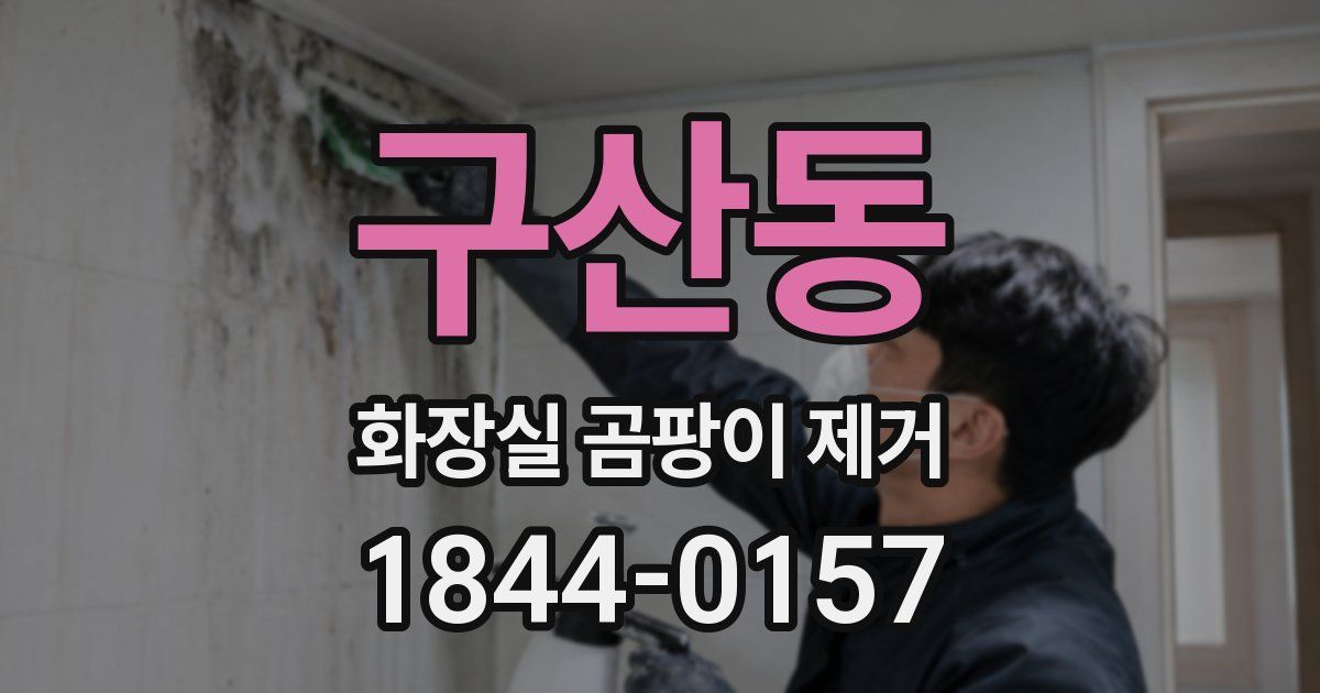 구산동 화장실 곰팡이 제거