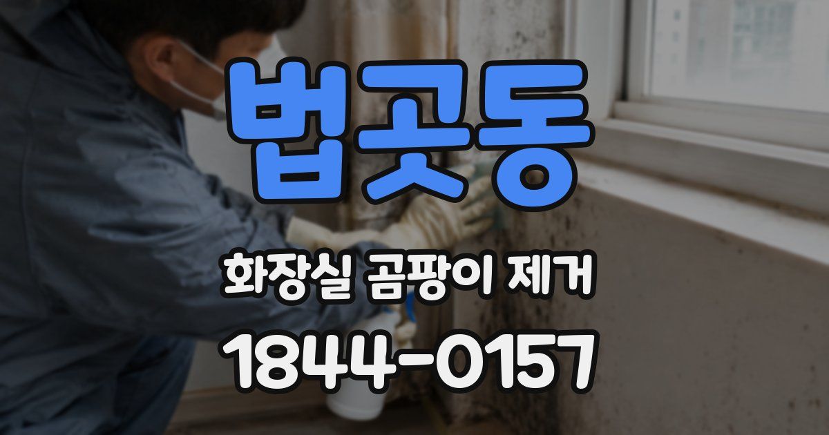 법곳동 화장실 곰팡이 제거