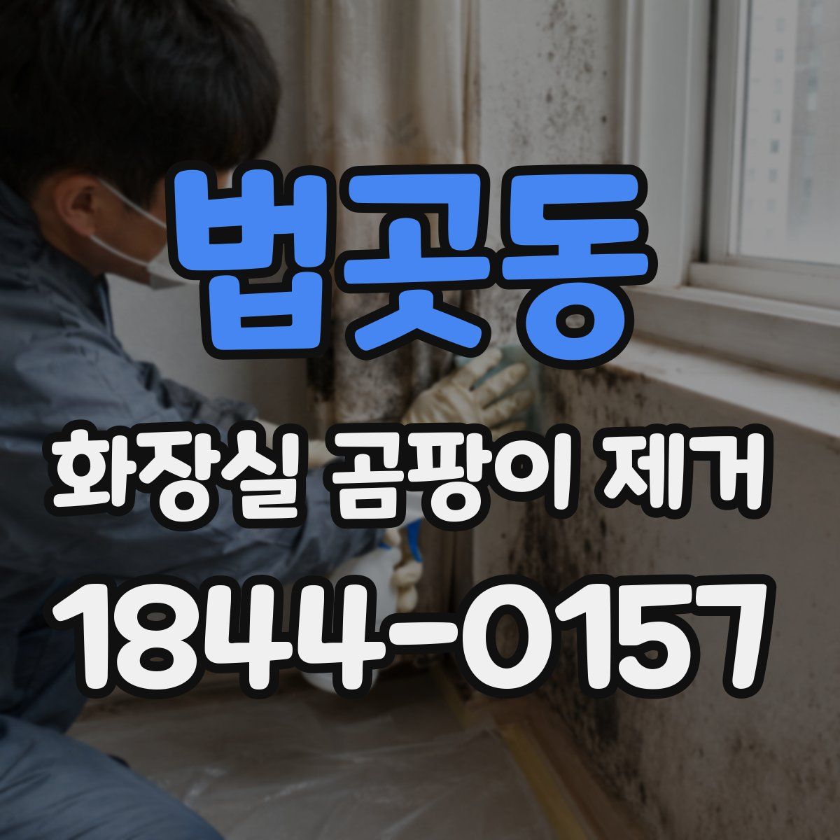 법곳동 화장실 곰팡이 제거