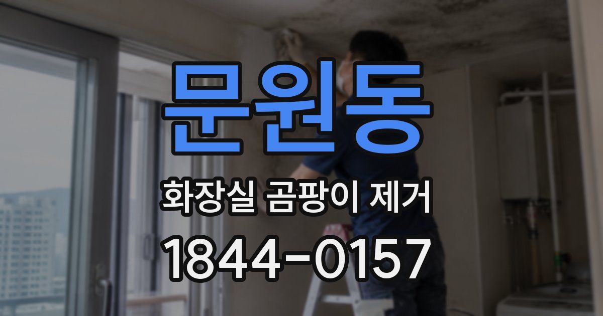 문원동 화장실 곰팡이 제거