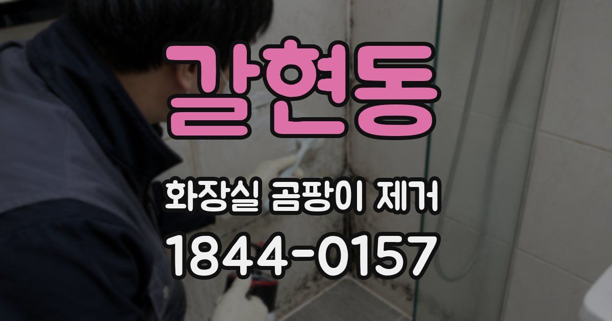 갈현동 화장실 곰팡이 제거