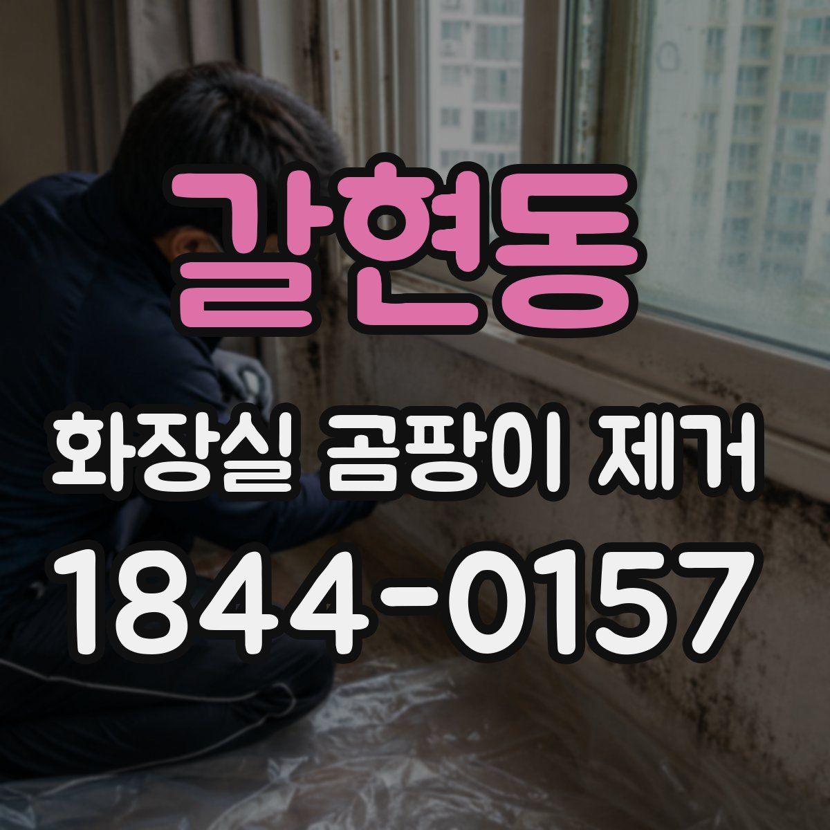 갈현동 화장실 곰팡이 제거