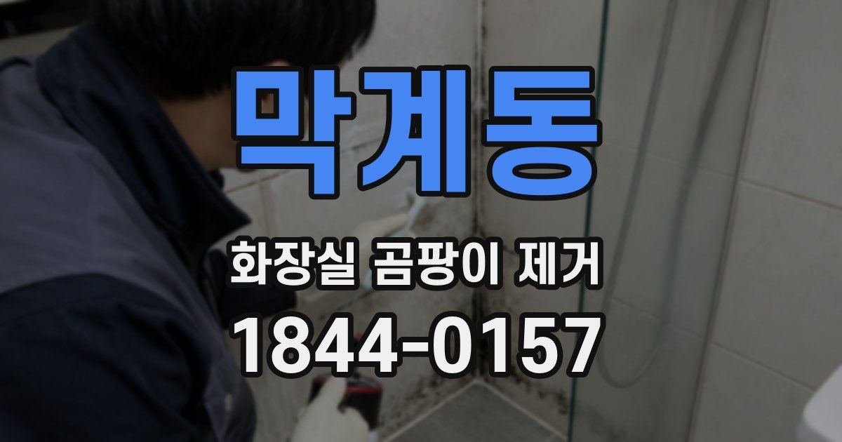 막계동 화장실 곰팡이 제거