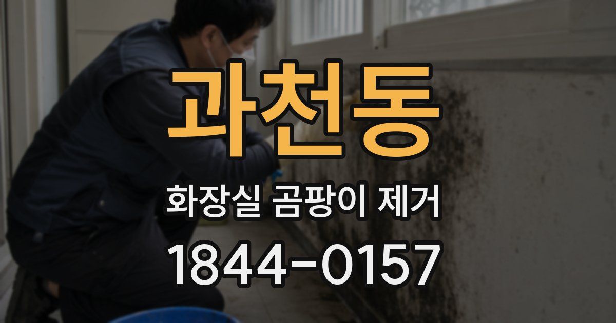 과천동 화장실 곰팡이 제거