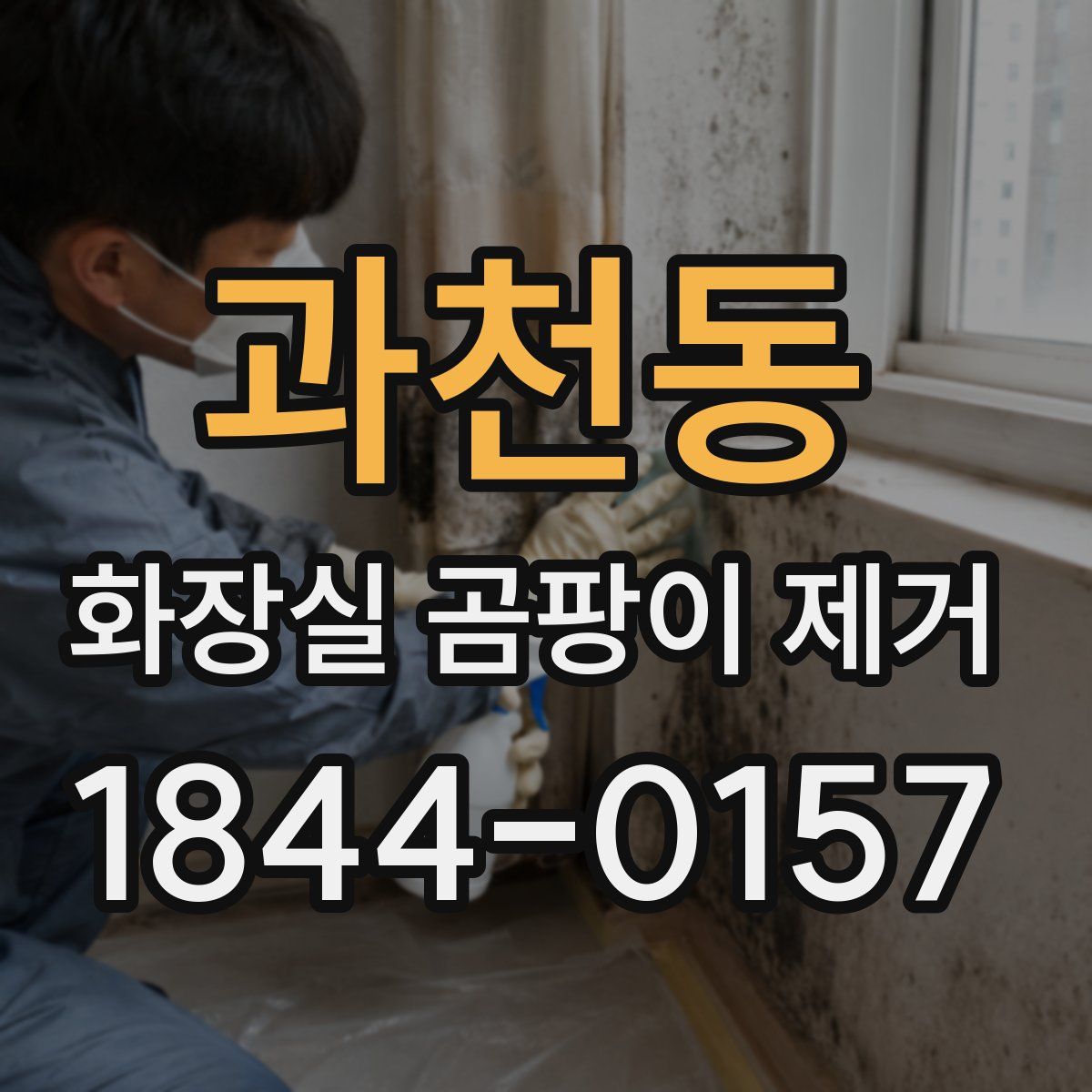 과천동 화장실 곰팡이 제거