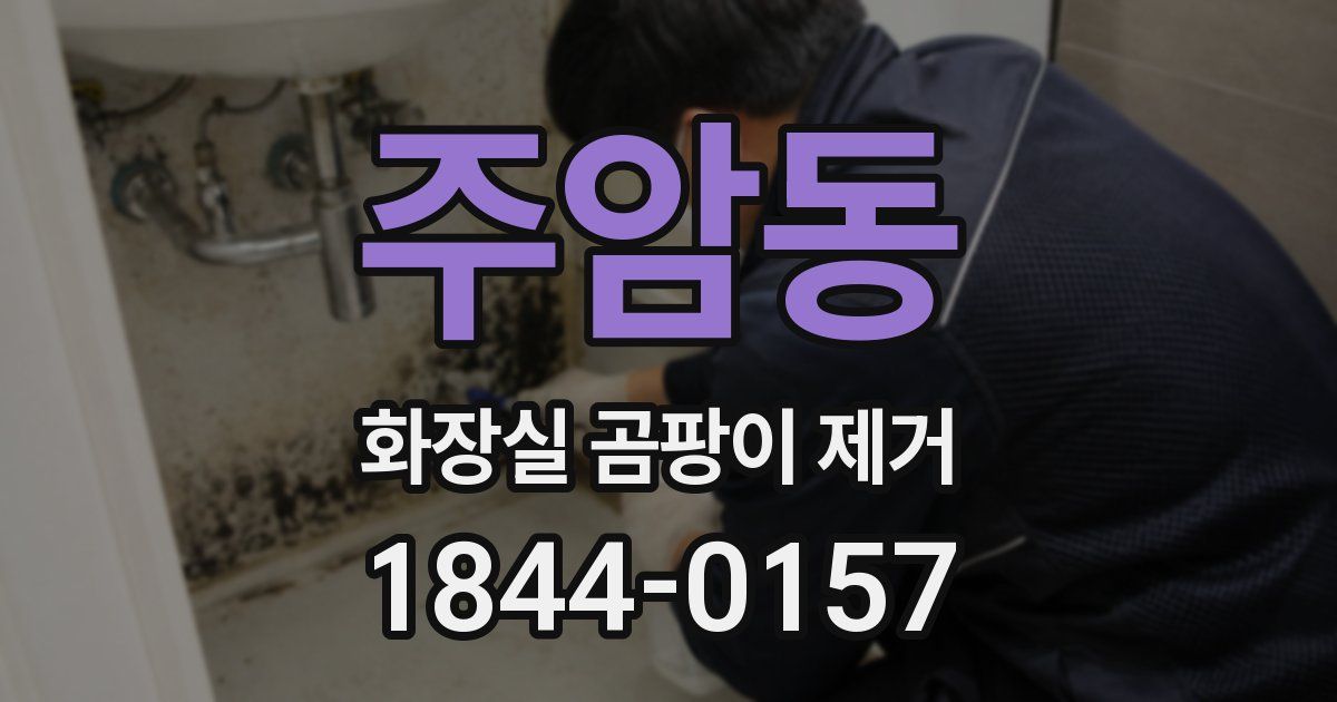 주암동 화장실 곰팡이 제거