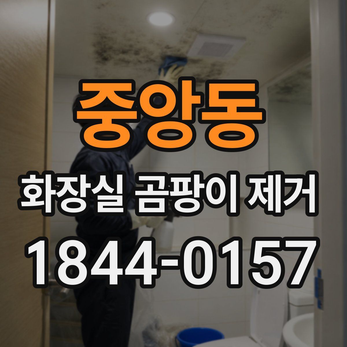 중앙동 화장실 곰팡이 제거
