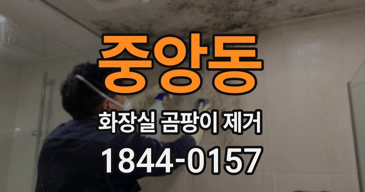 중앙동 화장실 곰팡이 제거
