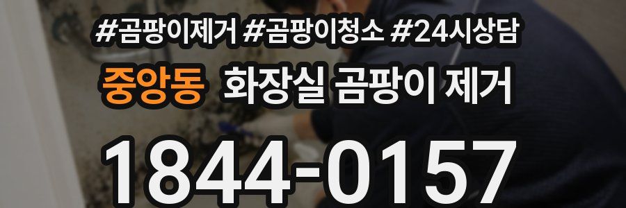 중앙동 화장실 곰팡이 제거
