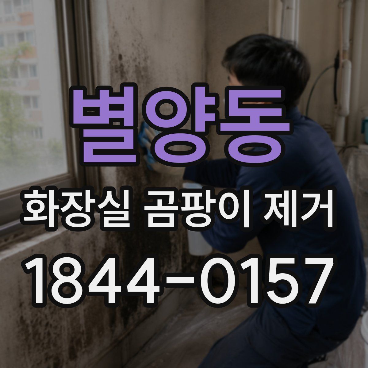 별양동 화장실 곰팡이 제거