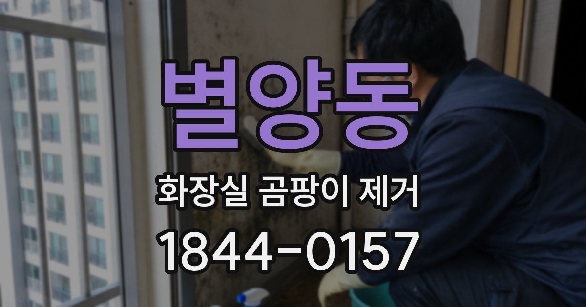 별양동 화장실 곰팡이 제거