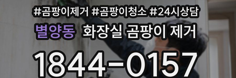 별양동 화장실 곰팡이 제거