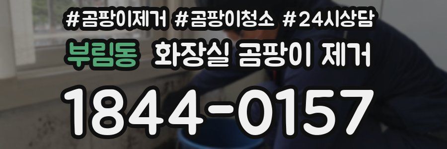 부림동 화장실 곰팡이 제거