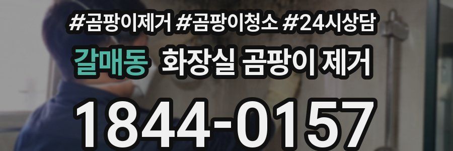 갈매동 화장실 곰팡이 제거