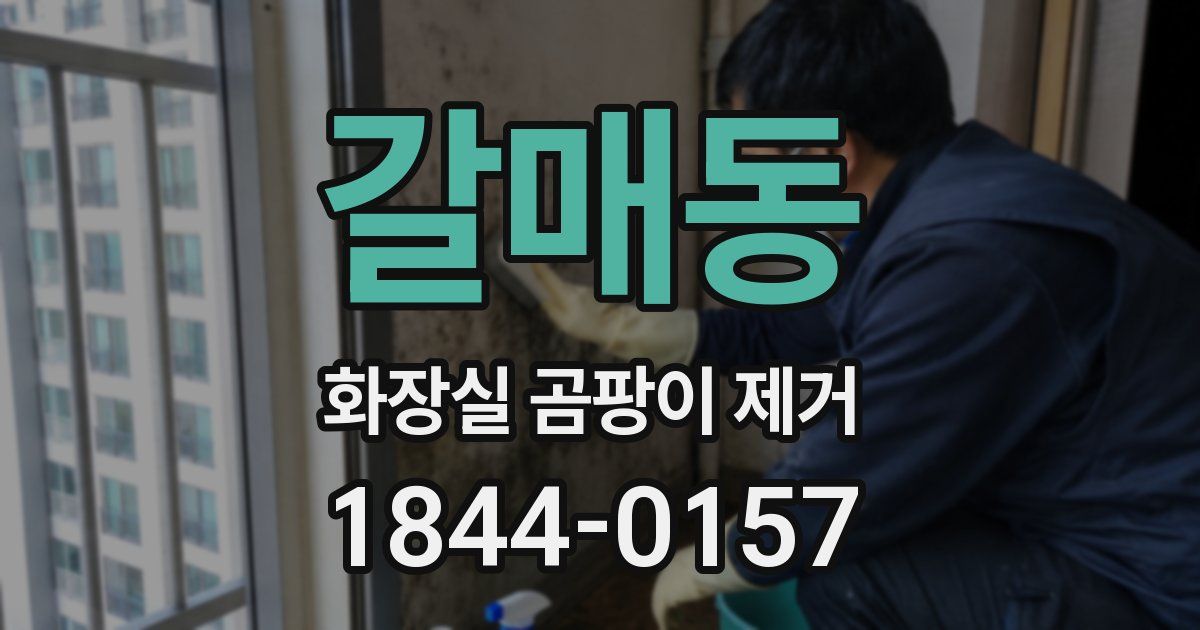 갈매동 화장실 곰팡이 제거