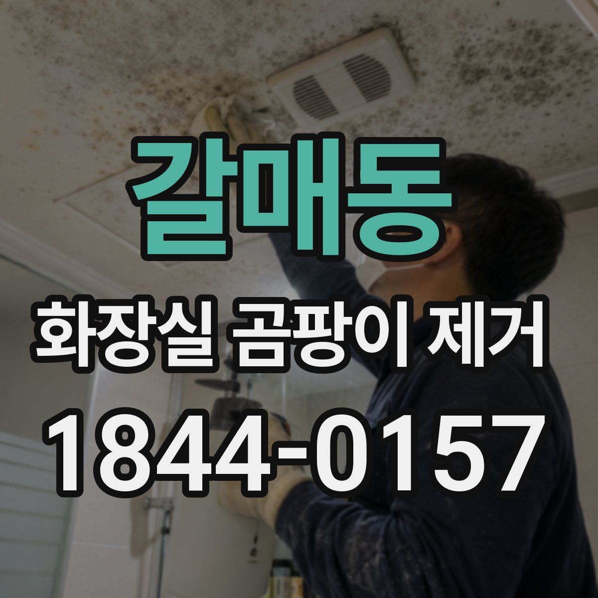 갈매동 화장실 곰팡이 제거