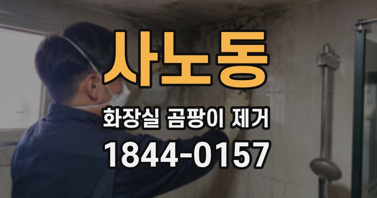 사노동 화장실 곰팡이 제거