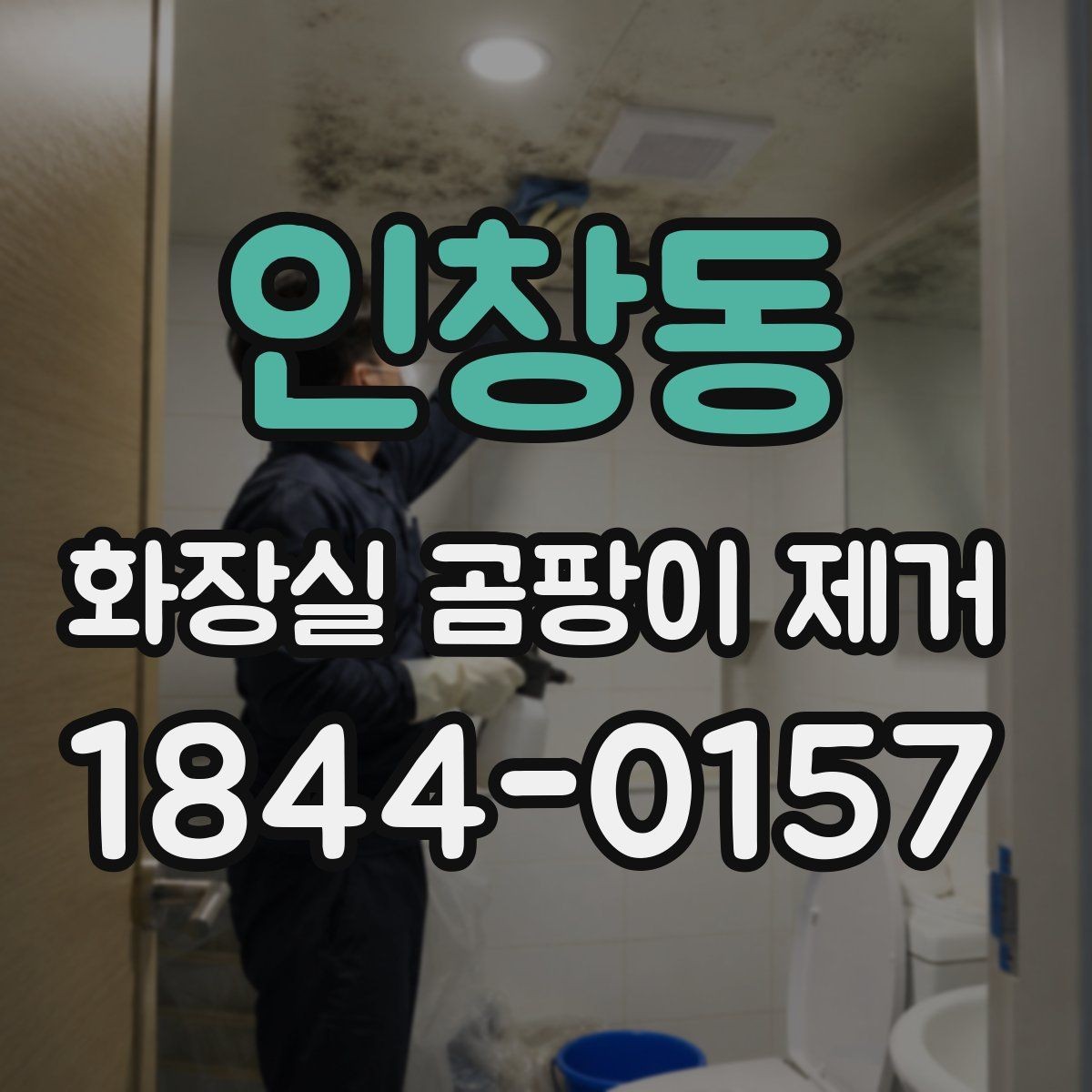 인창동 화장실 곰팡이 제거 줄눈 깊숙한 오염을 닦는 방법