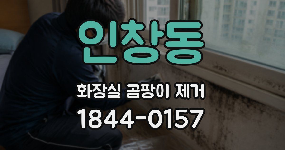 인창동 화장실 곰팡이 제거