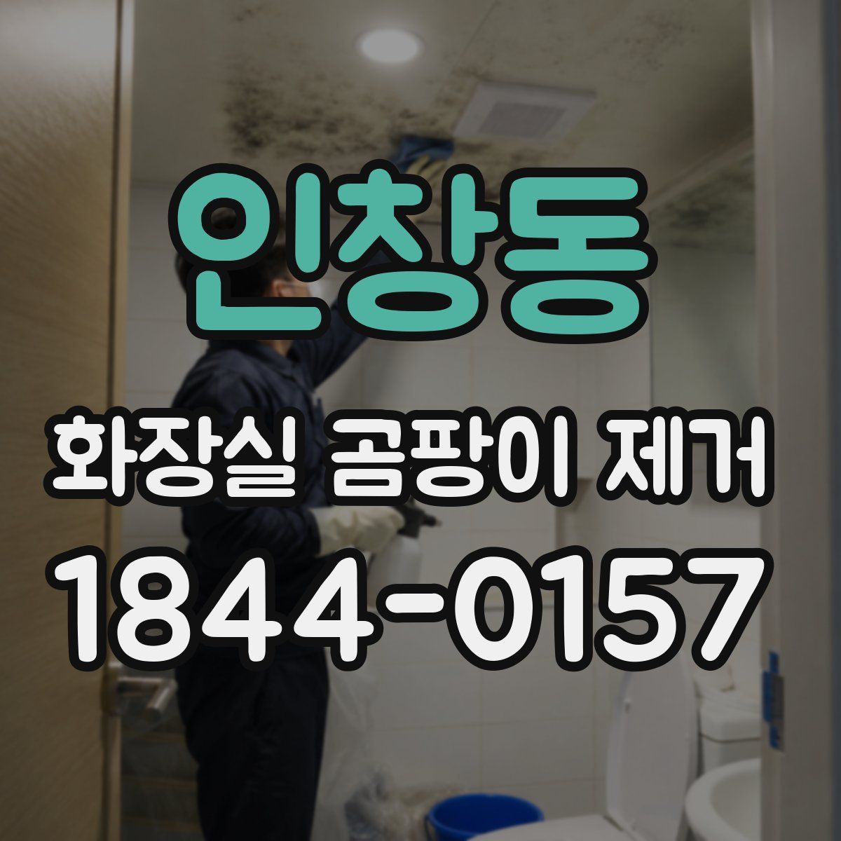 인창동 화장실 곰팡이 제거