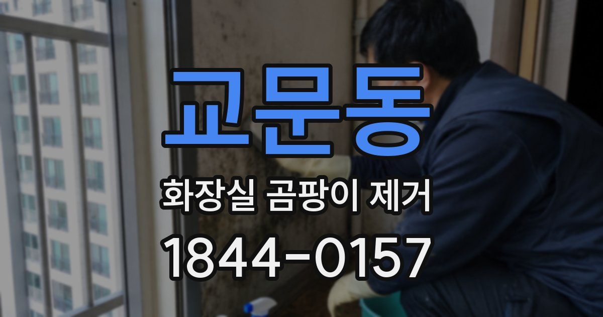 교문동 화장실 곰팡이 제거