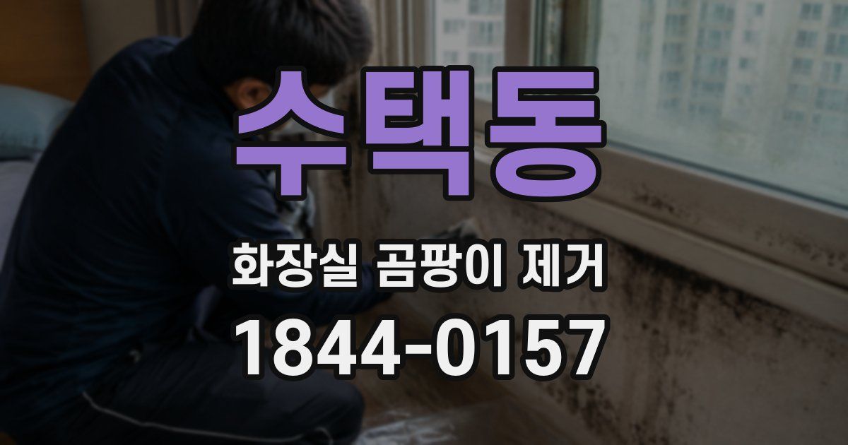 수택동 화장실 곰팡이 제거