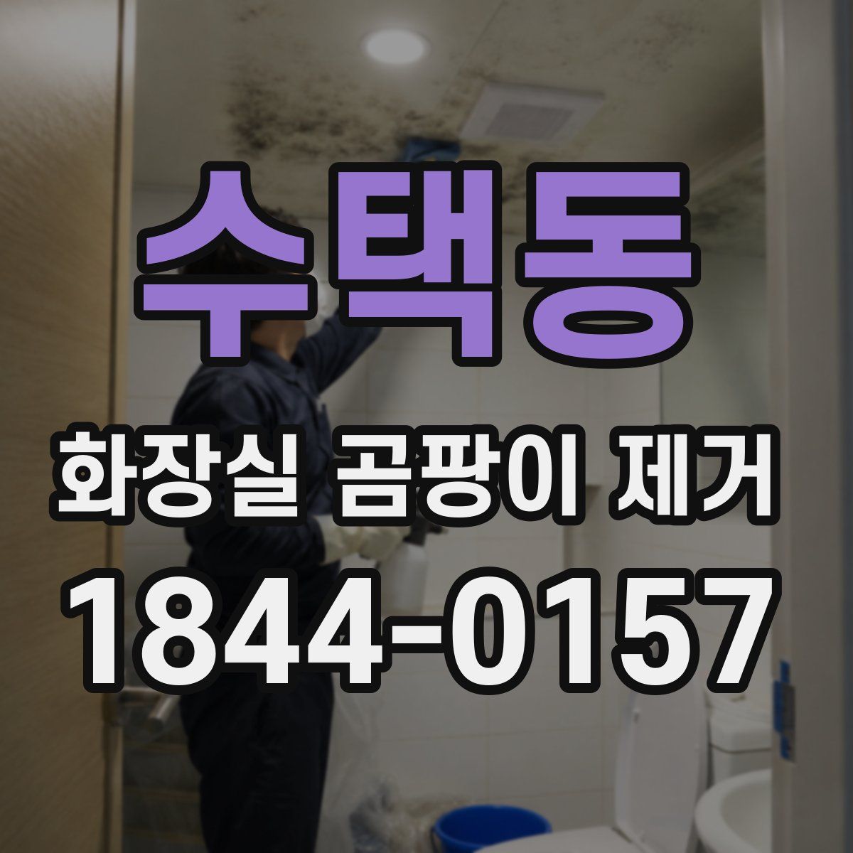 수택동 화장실 곰팡이 제거